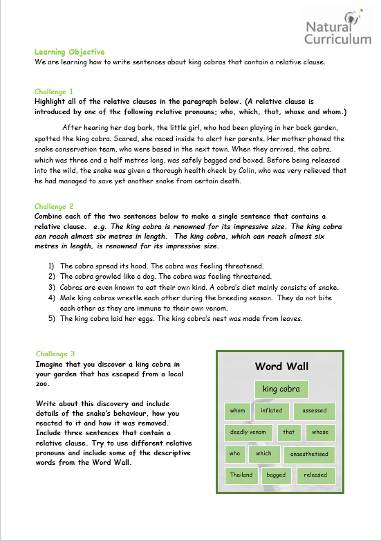 Solved English Grammar - Common errors For each | Chegg.com