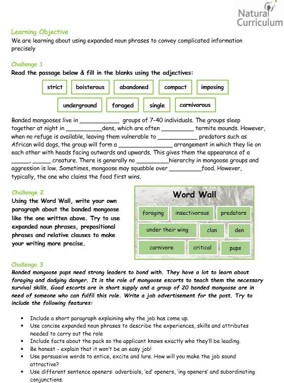 year-6-expanded-noun-phrases-worksheet-activities-natural-curriculum