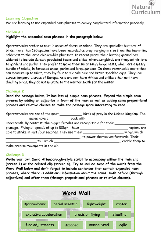 year-6-expanded-noun-phrases-worksheet-activities-natural-curriculum